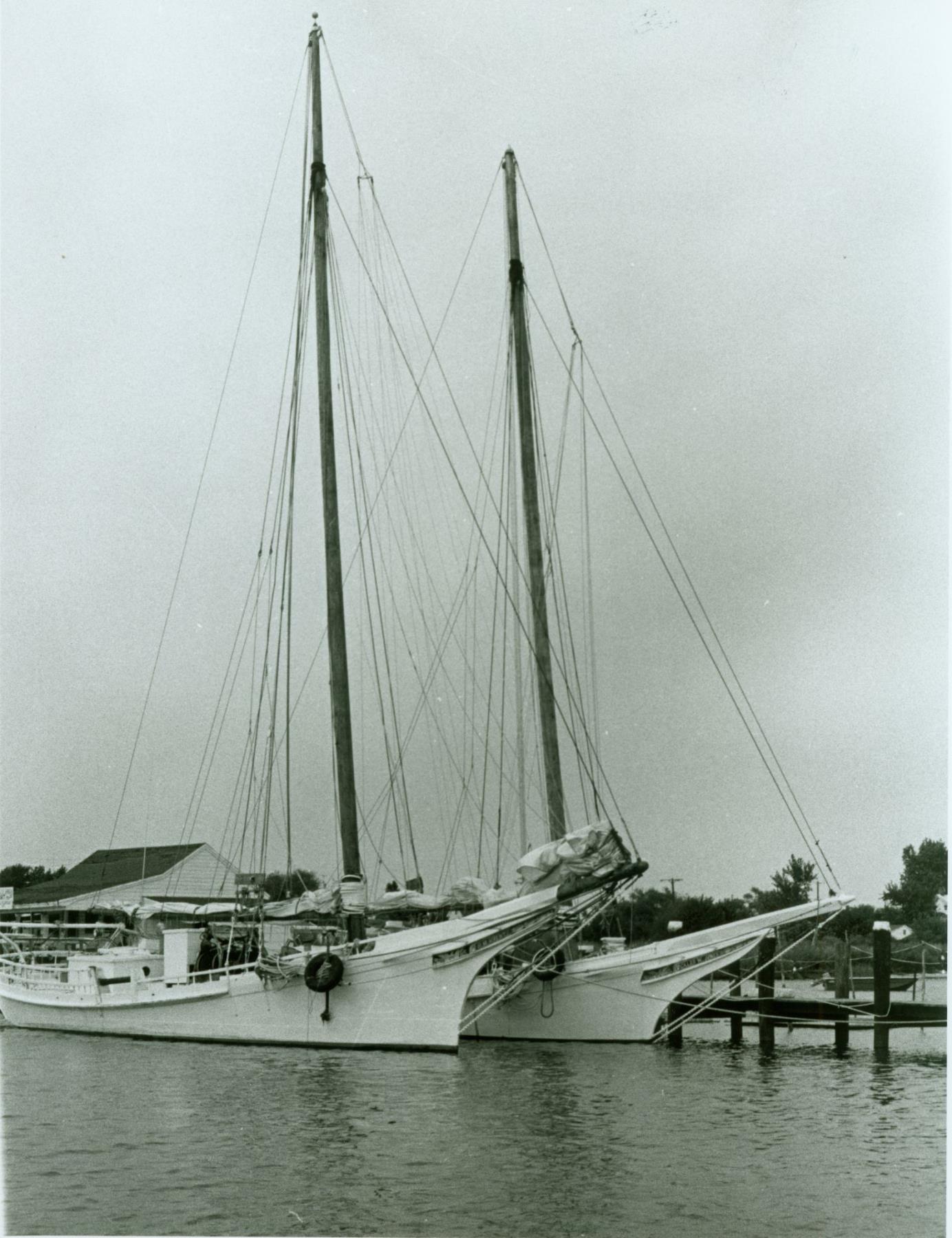 CBMM catalog image